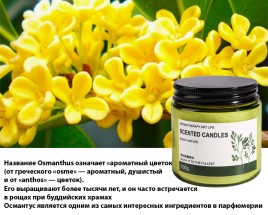 Ароматическая свеча в стеклянной банке соевый воск аромат Османтус (Osmanthus Candle) 100 г