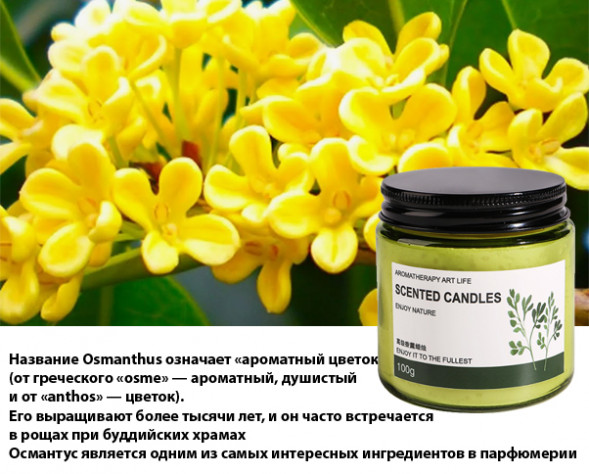 Ароматическая свеча в стеклянной банке соевый воск аромат Османтус (Osmanthus Candle) 100 г