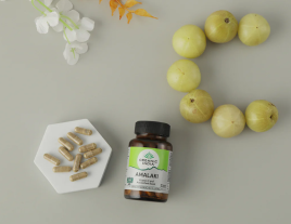 Амалаки Органик Индия (Amalaki Organic India) 60 капсул