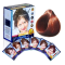 Хна индийская Каштан Хербул (Chestnut Henna Herbul) 6 x 10 г