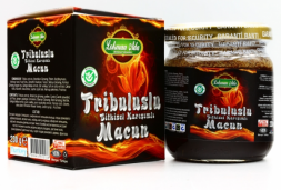 Эпимедиумная паста (Tribulusu Macun Lokman Ada) 230 г