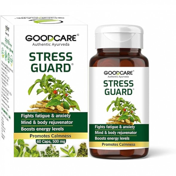 Стресс Гард таблетки Бадьянатх (Stress guard Baidyanath) 60 капсул