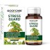 Стресс Гард таблетки Бадьянатх (Stress Guard Baidyanath) 60 капсул