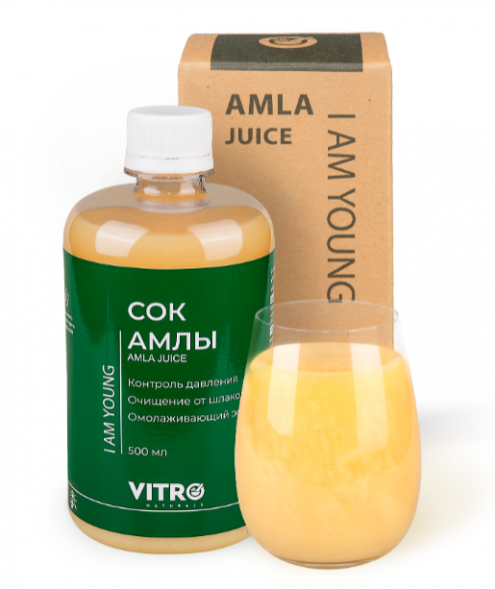 Напиток сокосодержащий Амла (I am Young Amla Vitro Naturals) 500 мл