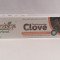 Зубная паста Гвоздика Говиндая (Clove toothpaste Govindaya) 100 г