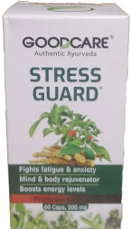 УЦЕНКА! Стресс Гуард Бадьянатх ПОМЯТА УПАКОВКА (Stress guard Baidyanath) 60 капсул