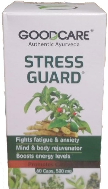 УЦЕНКА! Стресс Гуард Бадьянатх СРОК ДО 07.2026 (Stress guard Baidyanath) 60 капсул