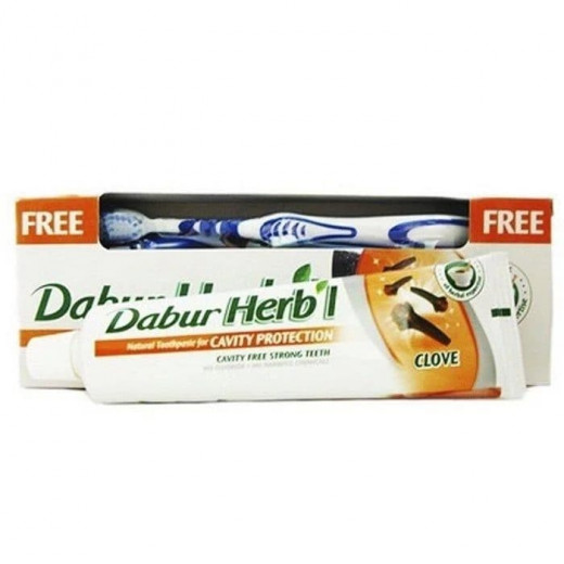 Зубная паста Гвоздика щетка в подарок Дабур (Tooth paste Herbal Clove Dabur) 150 г — 