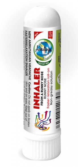 Ингалятор-карандаш травяной Амрутанджан (Amrutanjan Inhaler from a runny nose) 2 мл