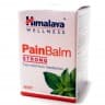 Пейн Балм бальзам Хималая (Pain Balm Strong Himalaya) 10г