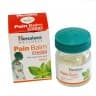 Пейн Балм бальзам Хималая (Pain Balm Strong Himalaya) 10г