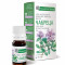 Эфирное натуральное масло Чабрец Крымские масла (Pure Thymus Oil) 5 мл