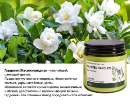 Ароматическая соевая свеча в стеклянной банке Гардения (Gardenia Candle) 100 г
