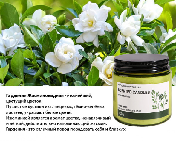 Ароматическая соевая свеча в стеклянной банке Гардения (Gardenia Candle) 100 г
