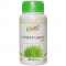 Витграсс таблетки Шри Ганга (Wheatgrass Shri Ganga) 60 табл