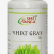 Витграсс таблетки Шри Ганга (Wheatgrass Shri Ganga) 60 табл