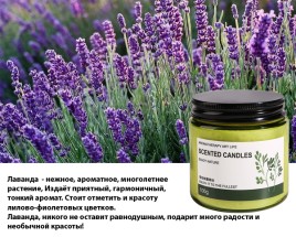 Ароматическая соевая свеча в стеклянной банке Лаванда (Lavender Candle) 100 г